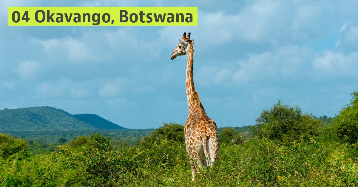 I luoghi che avremmo dovuto visitare quest’anno secondo Lonely Planet