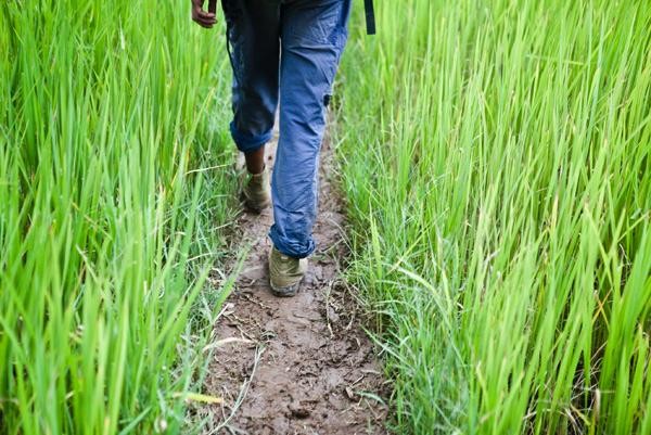 Dpcm Natale, sarà permesso spostarsi nelle seconde case?