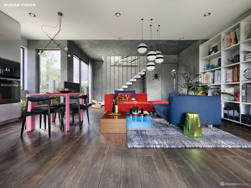 Come vedono la nostra casa gli animali: dal cane al ragno, sette diversi punti di vista