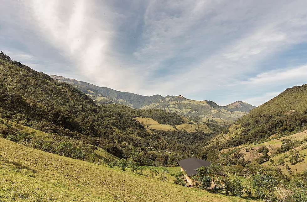 La casa è circondata dalla natura
