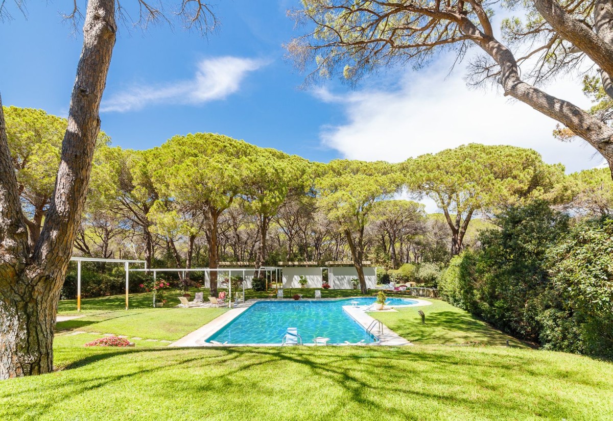 Proprietatea are o grădină frumoasă și o piscină mare Proprietatea are o grădină frumoasă și o piscină mare