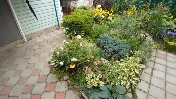 rent-33-602673d00ee6f-png_700