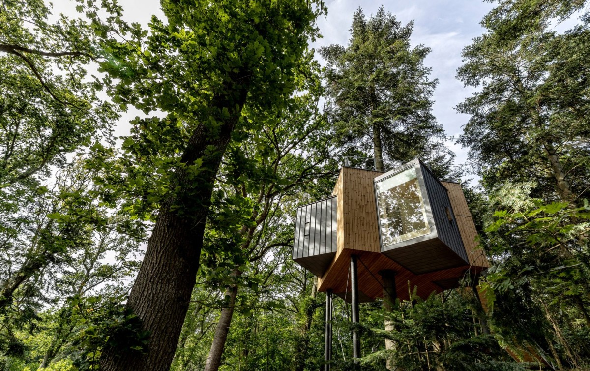 Capanne sugli alberi in stile minimalista nei pressi del più grande fiordo danese