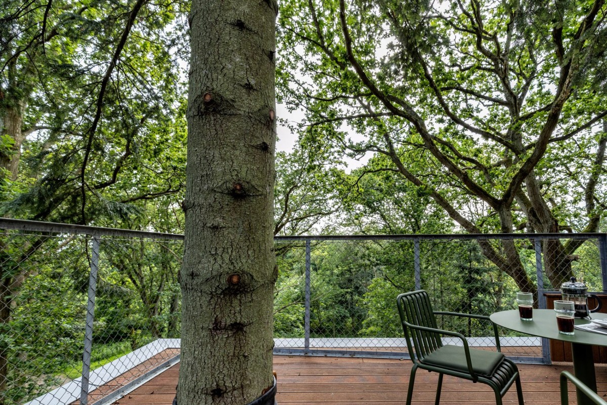 treetop-hotel-cabin-denmark_7