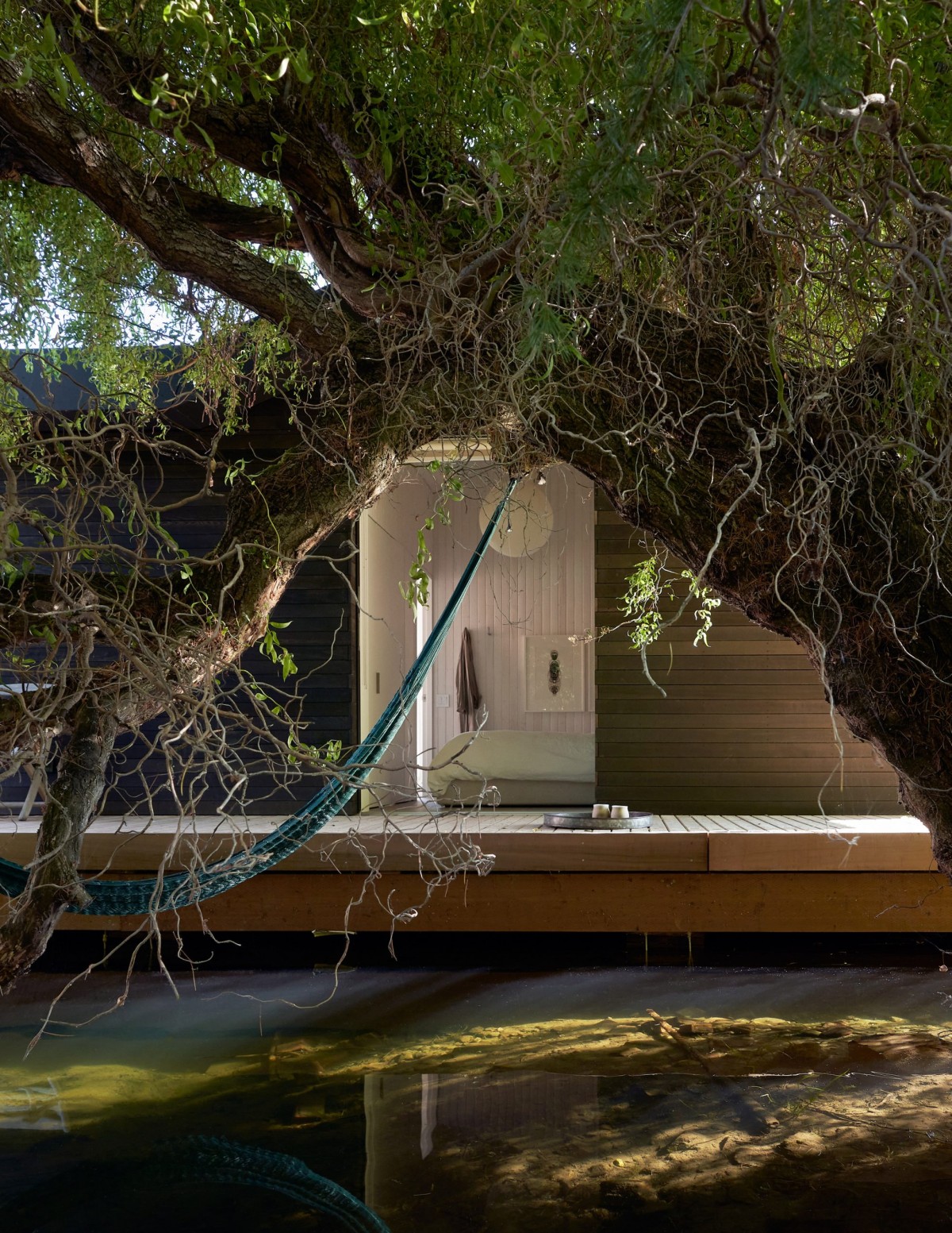 Circondata da acqua e alberi