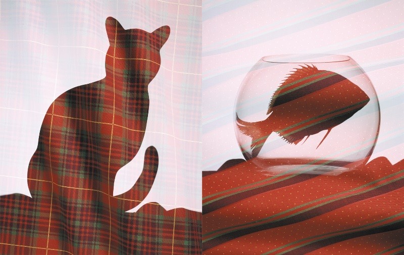 008_enzo_degli_angioni