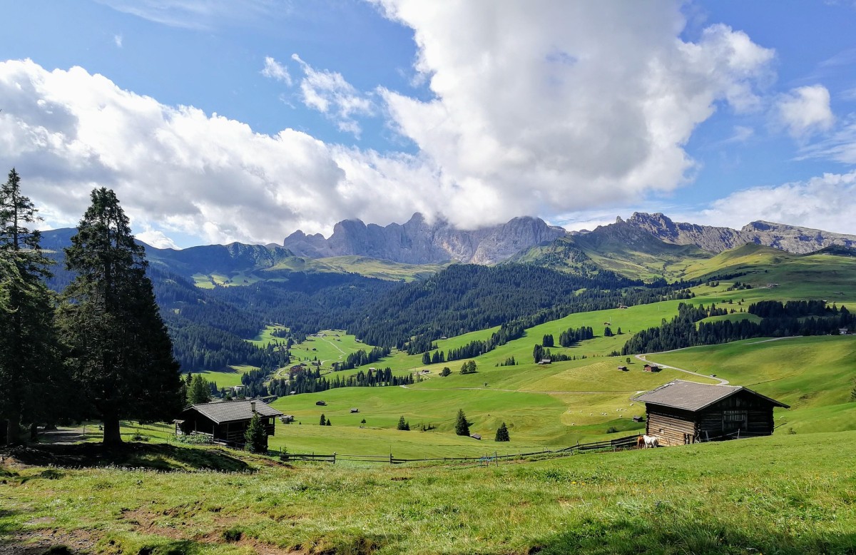 Vacanze gratis in Trentino, come funziona l’iniziativa e chi può partecipare