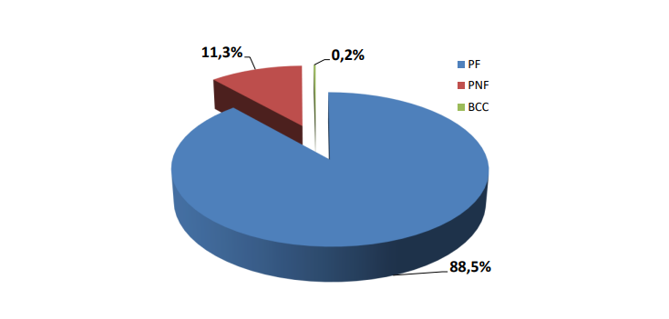 Statistiche catastali 2020: la fotografia dell'intero patrimonio immobiliare italiano