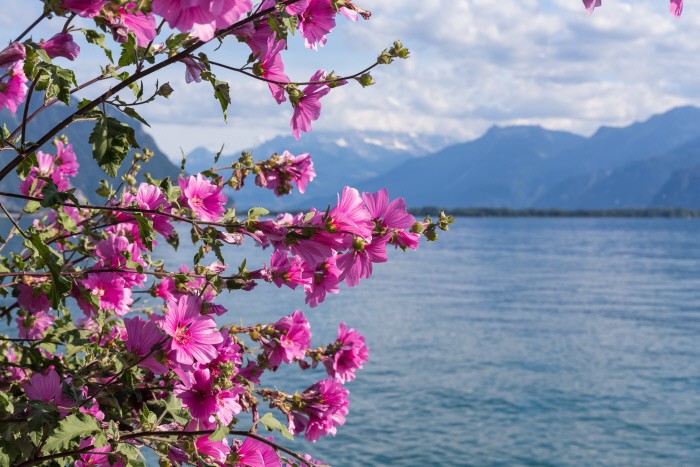 Svizzera a rischio bolla immobiliare, l’analisi di Ubs