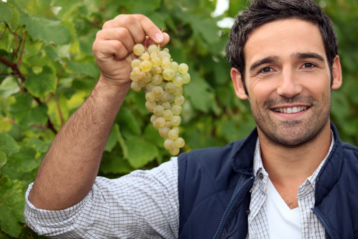 Alla cantina Le Manzane vendemmia solidale per la LILT