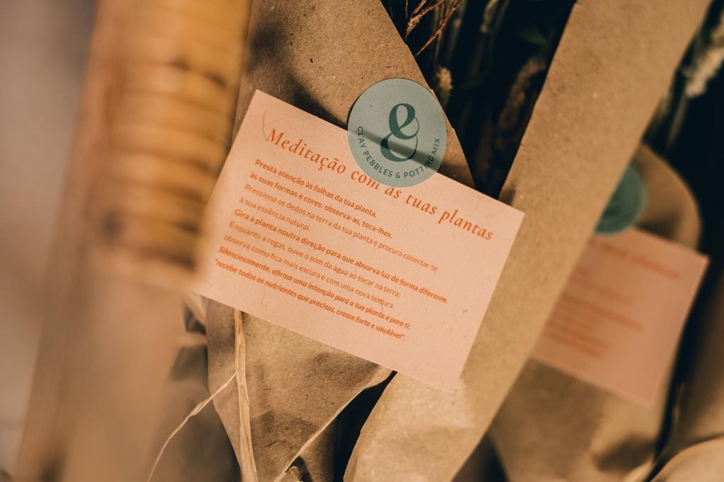 Prendersi cura delle piante in casa fa bene: i benefici per il corpo e la mente