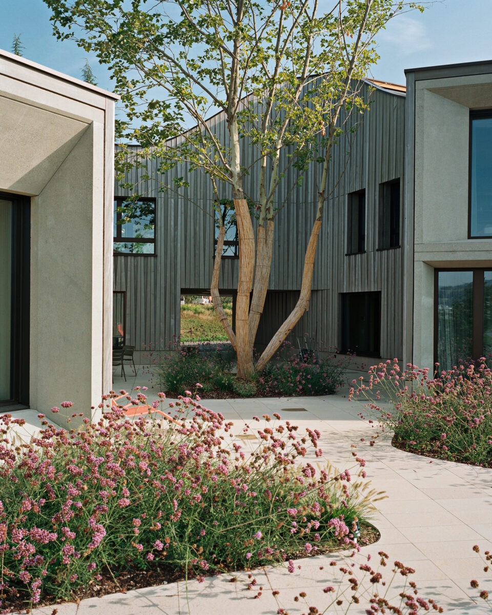 L'albero dona personalità alla casa