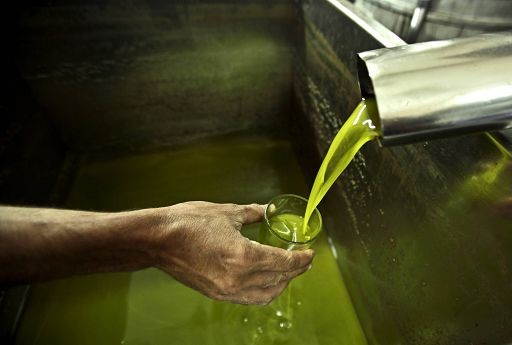 Confagricoltura Lombardia: settore olivicolo perder? 90% prodotto