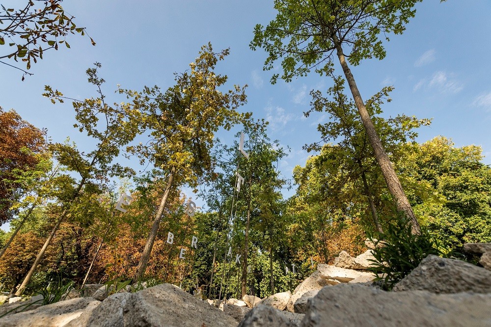 lets_break_it_up_nhood_land_c_colella_nicola_01