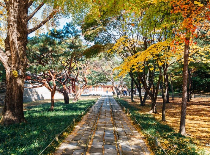 Corea