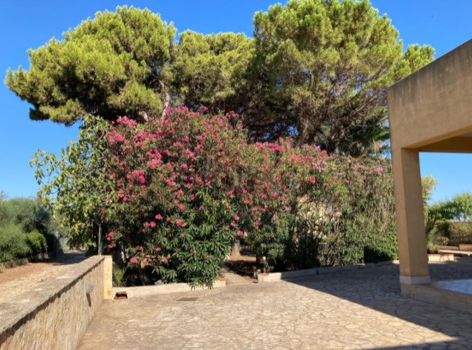 villa in sicilia sul mare