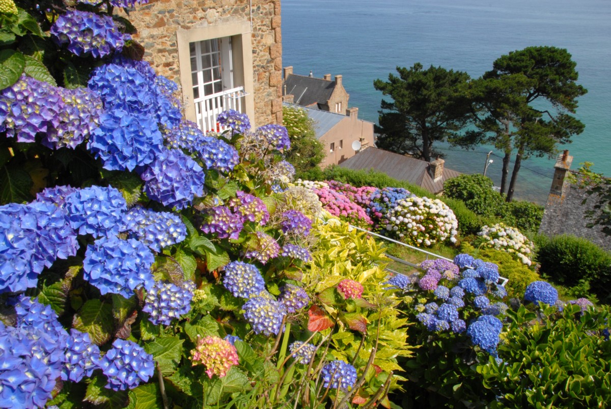 casa vacanze
