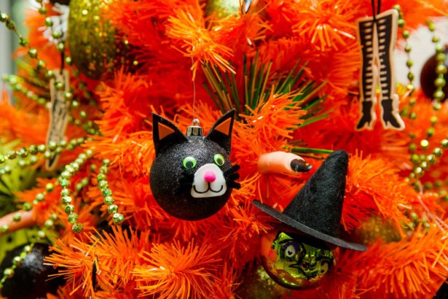 L'orange fait un excellent arrière-plan pour de nombreuses décorations