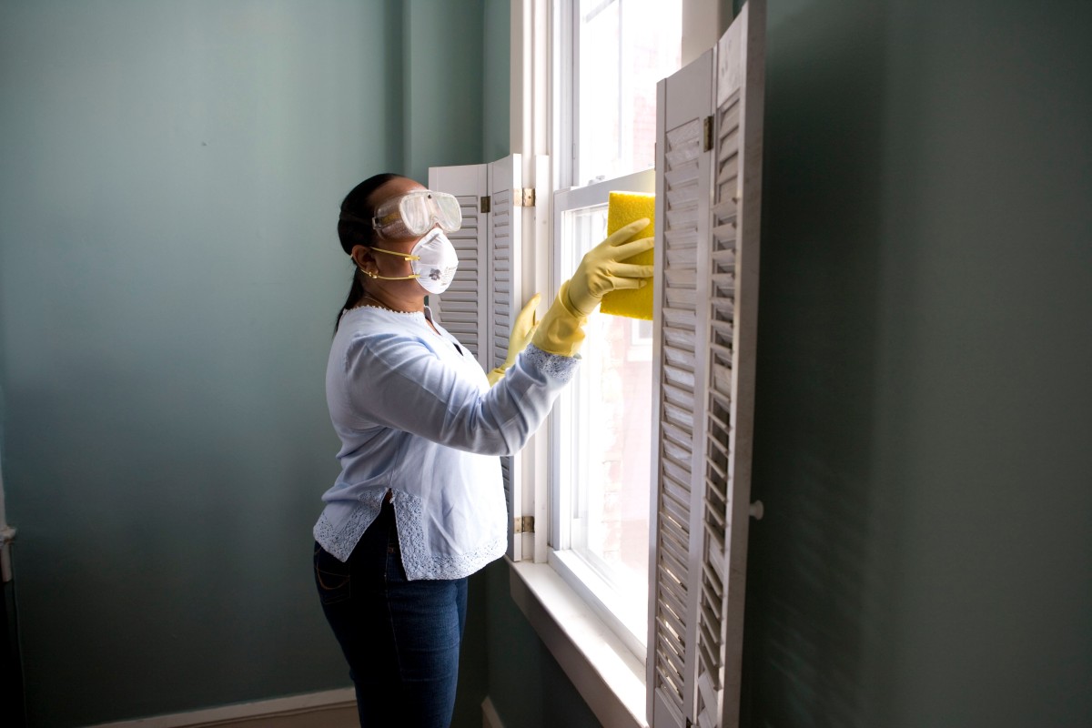 Come usare il deumidificatore quando c'è muffa, senza contaminare la stanza  