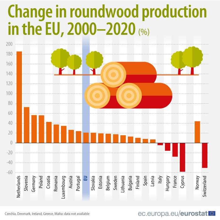 La produzione del legno in Europa è aumentata del 20% in 20 anni