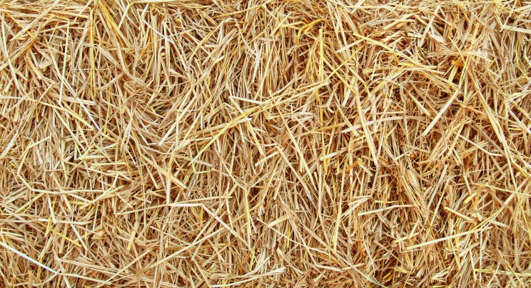 Straw is used for sustainable construction