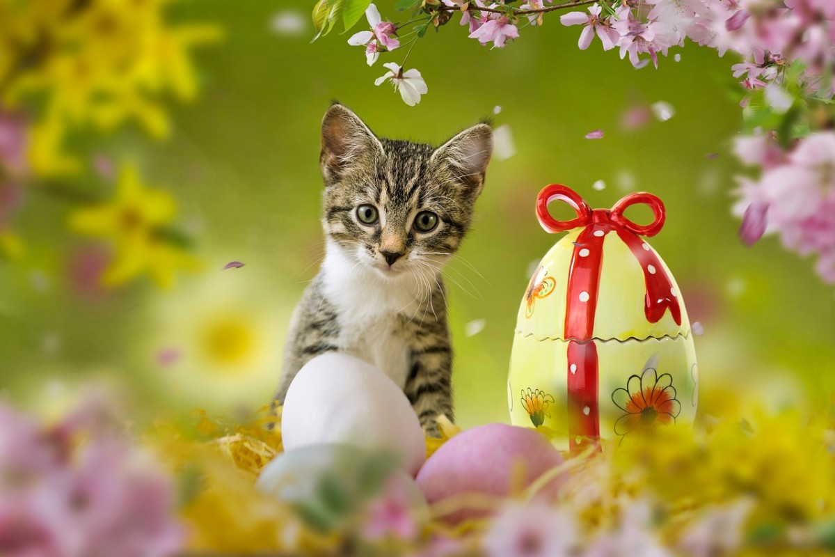Pasqua 2022, data e calendario