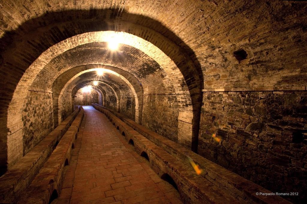 Tenuta Petriolo: alla scoperta di una cantina storica nel Chianti Senese