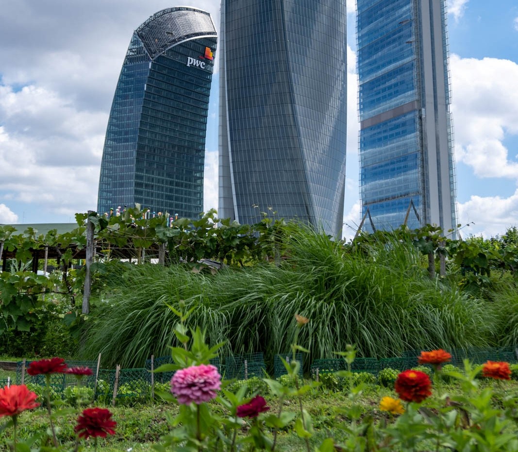 Orti fioriti Citylife Milano
