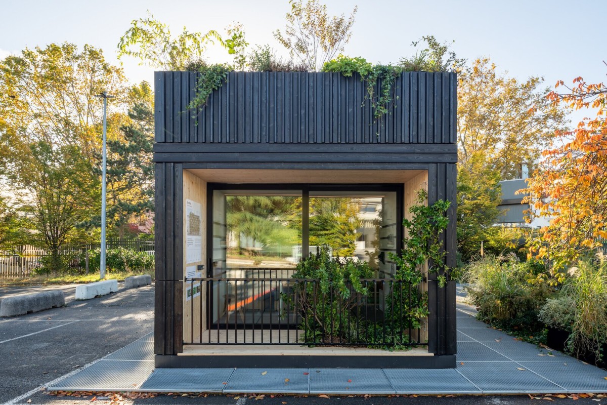 Le piante danno un tocco caldo e naturale
