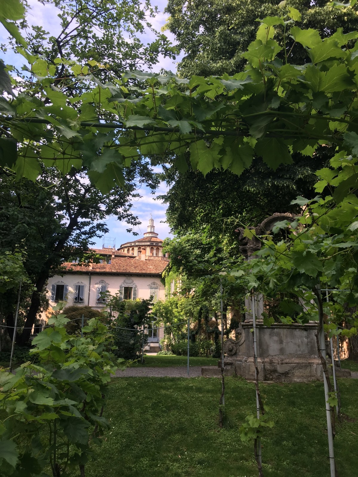 La vigna di Leonardo a Milano: alla scoperta di una storia sconosciuta
