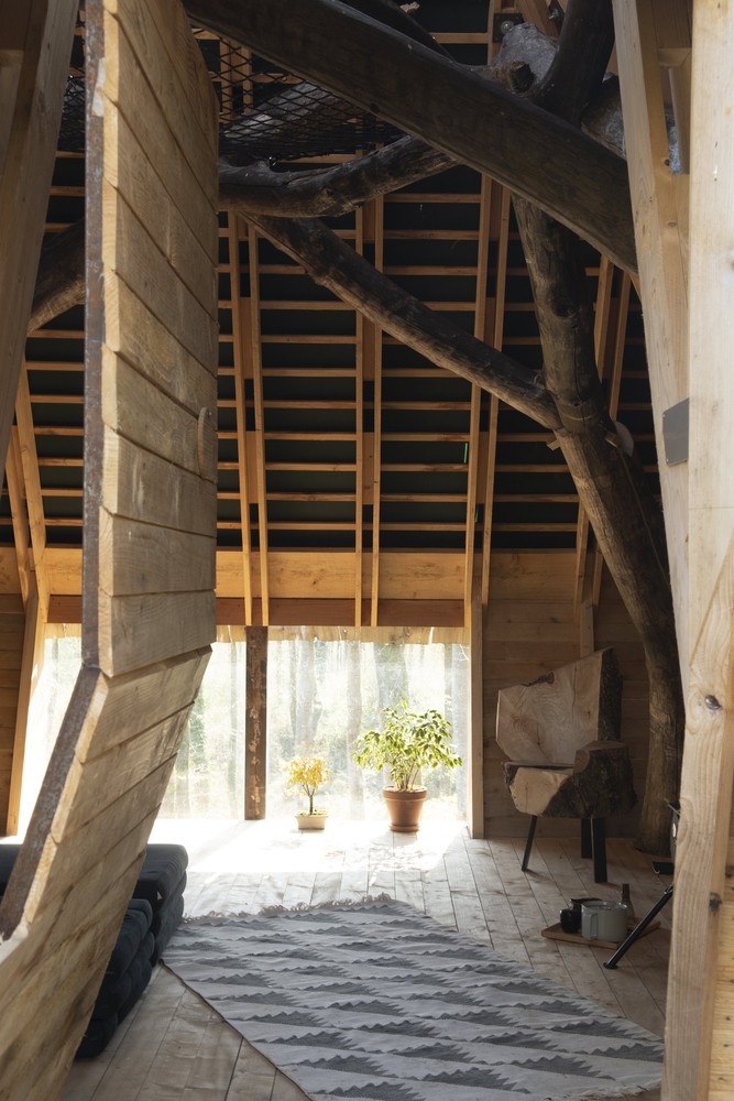 Gli alberi fanno parte del design interno