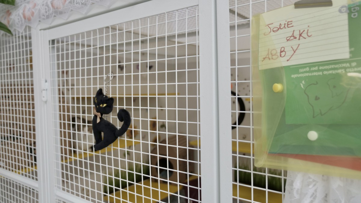 box_con_nome_e_libretti_sanitari