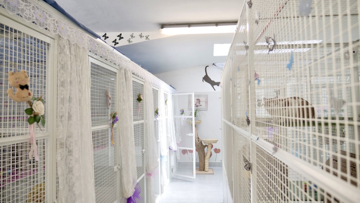 corridoio_2_casa_del_gatto