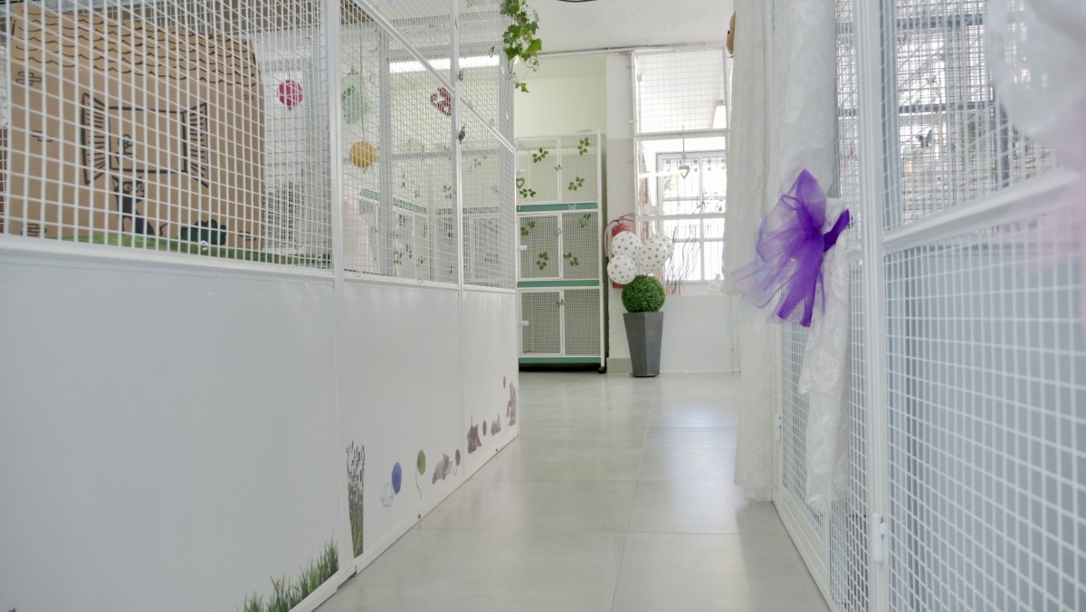 corridoio_casa_del_gatto