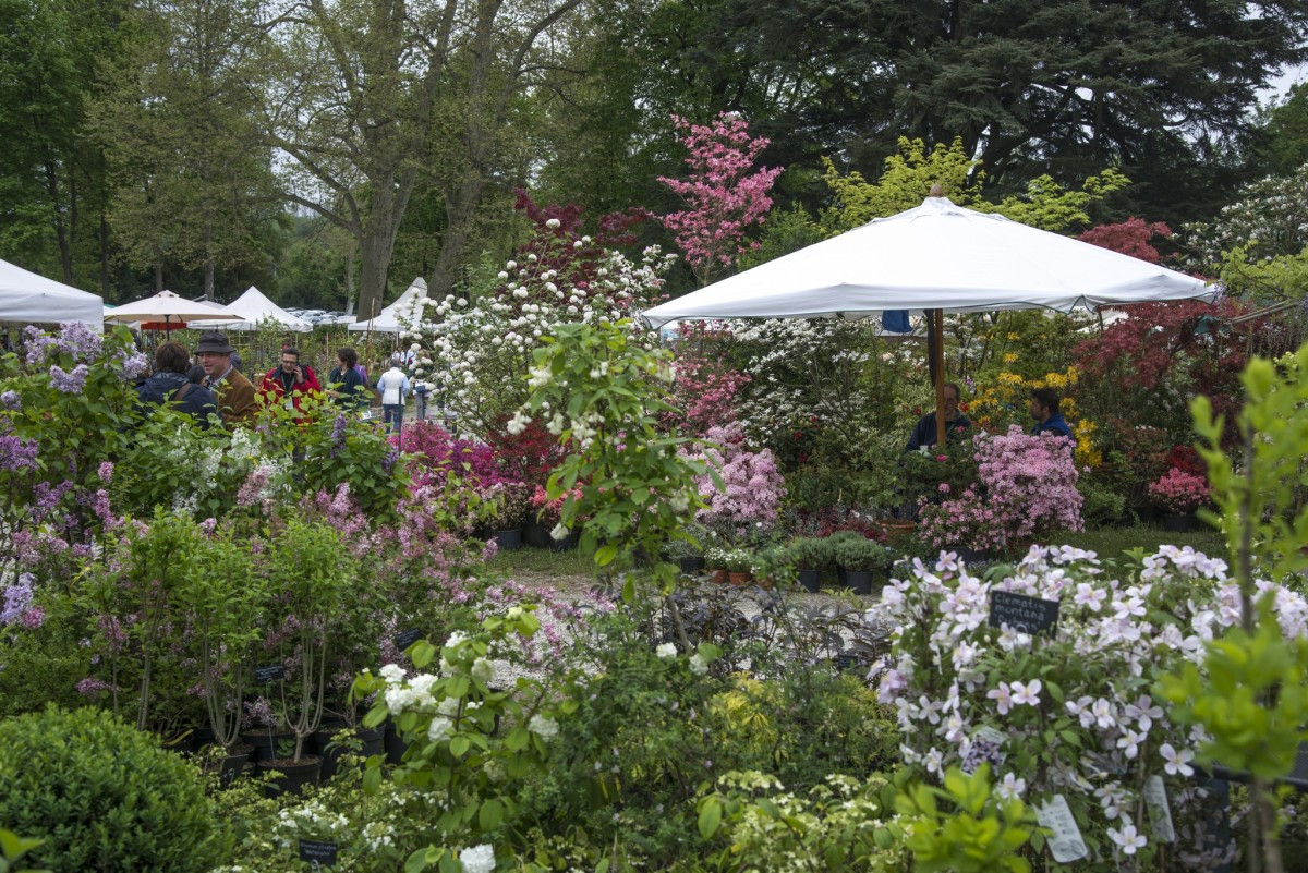 Castello e Parco di Masino a Caravino a Torino