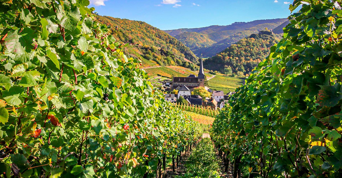 colline del prosecco