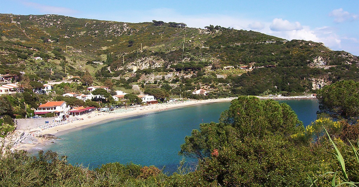 Cavoli