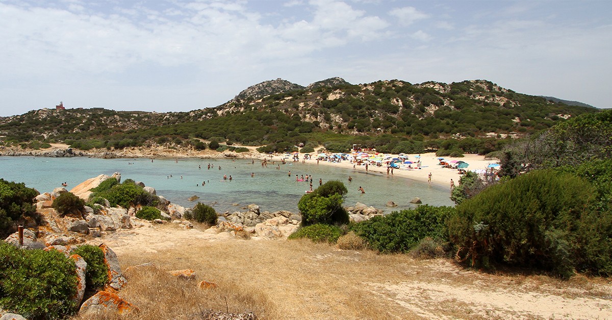 Cipolla
