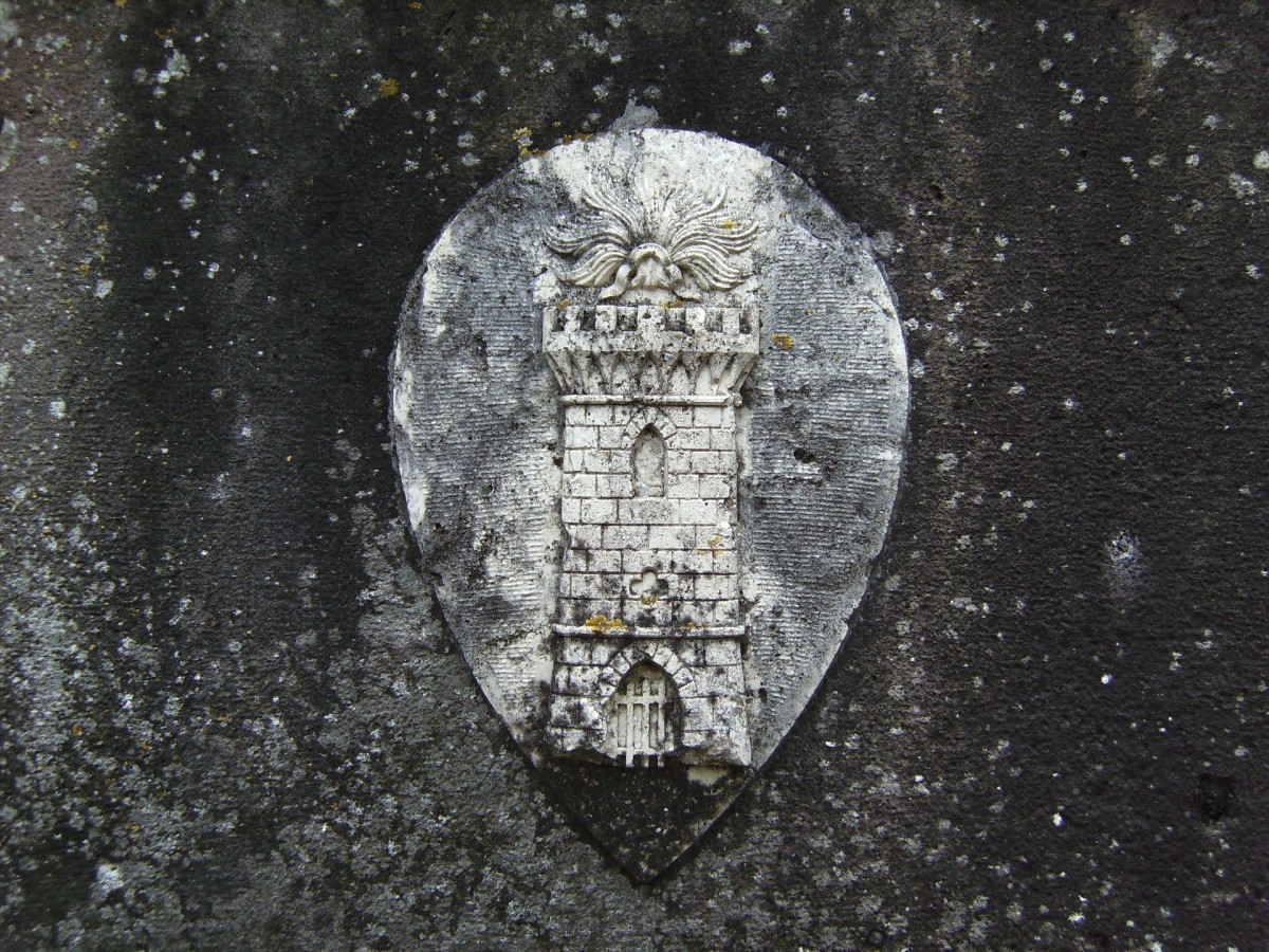 stemma rinsentii