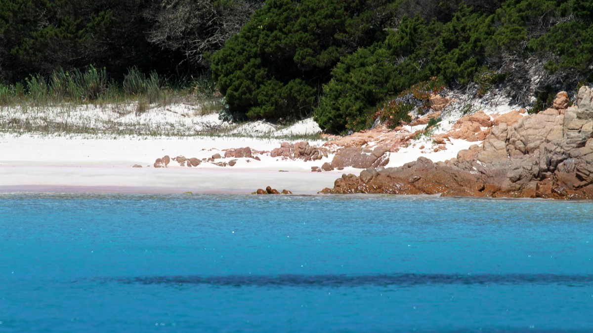 Spiagge della Sardegna, un viaggio tra alcune delle più belle