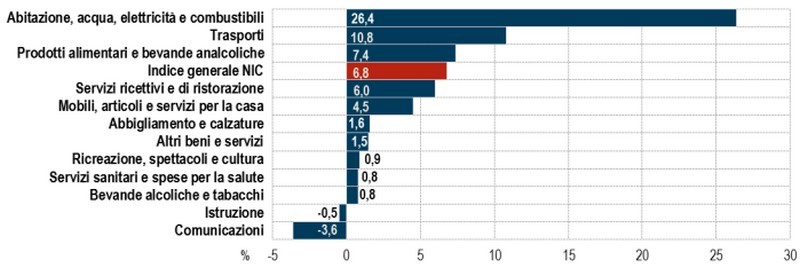 Indice dei prezzi al consumo Nic per divisione di spesa Inflazione Italia 2022, Istat: "A maggio +6,8% su base annua"