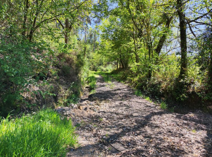 L'ambiente circostante