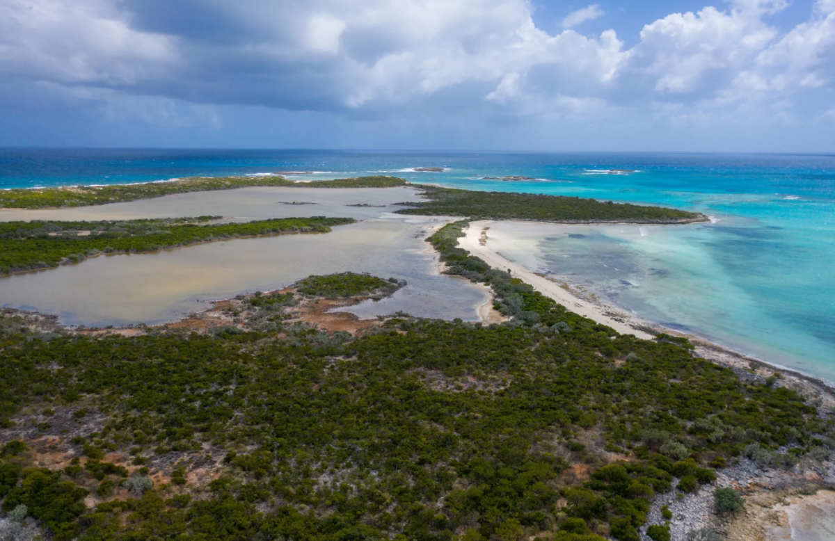 Isola all'asta alle Bahamas