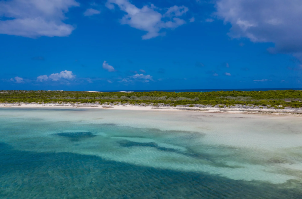 Isola all'asta alle Bahamas