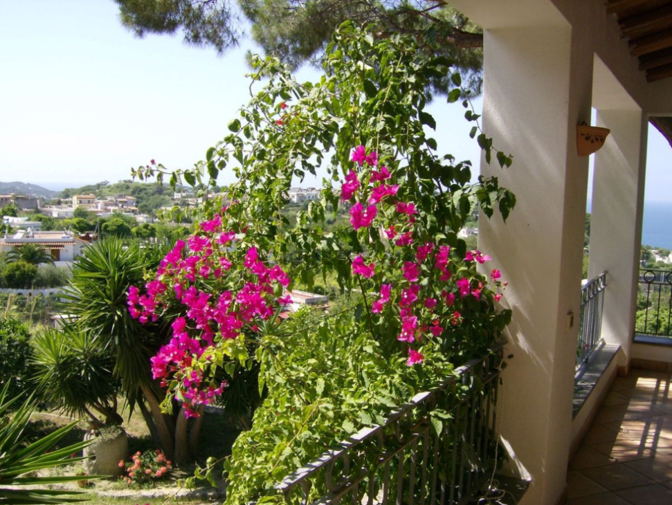 In vendita per 890.000 euro una splendida villa con vista mare a Ischia