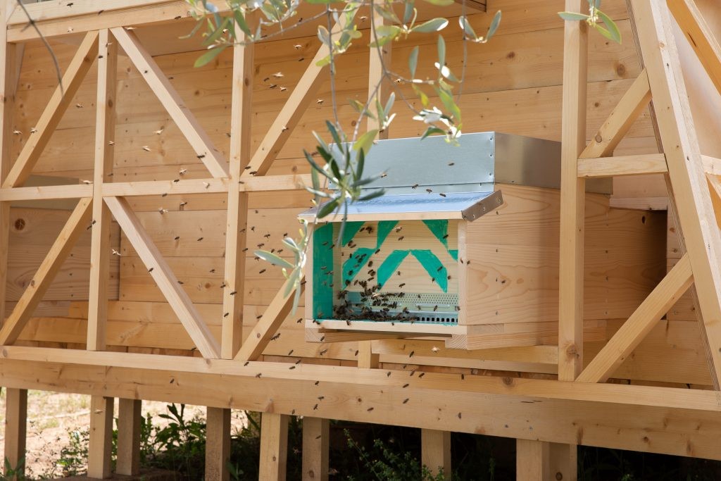 Mini casa prefabbricata in legno