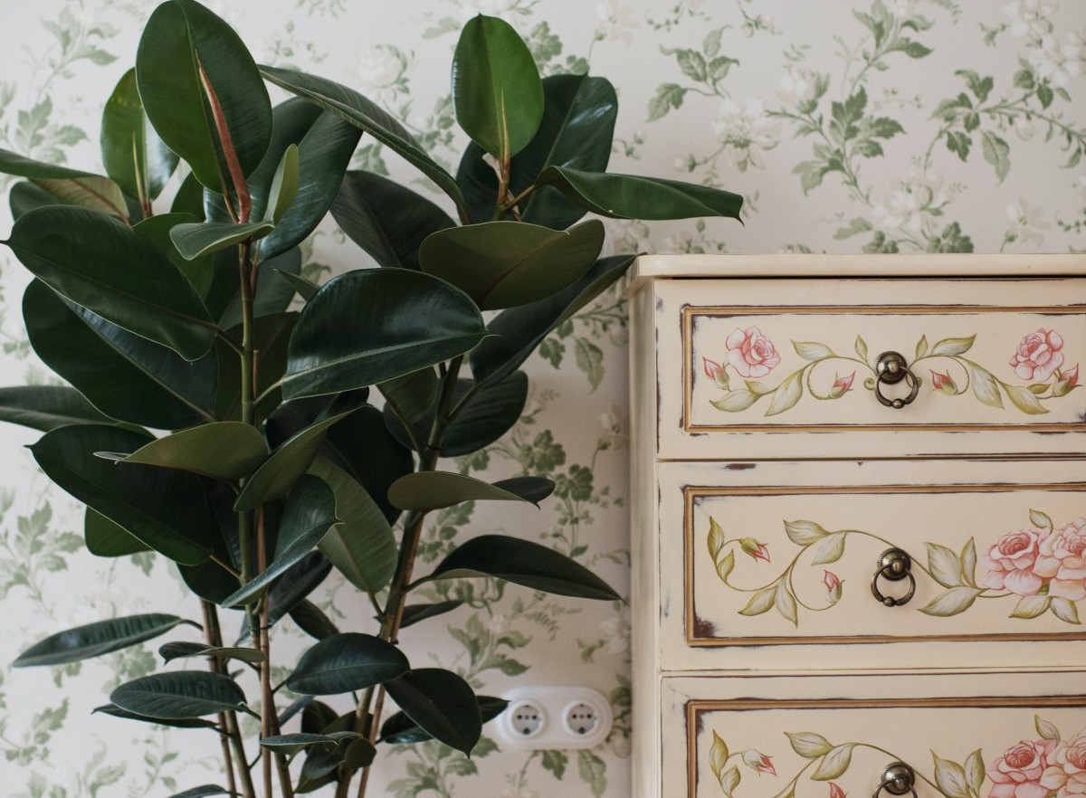 pexels-ksenia-chernaya-6021540