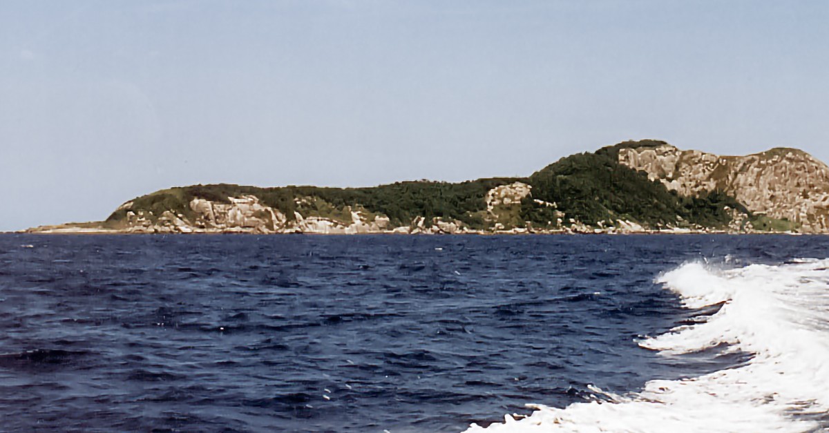 Questa isola in Brasile è la più pericolosa del mondo