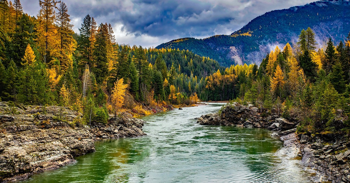 Visita os bosques italianos este outono / unsplash.com/photos/VAWqURK_Th0