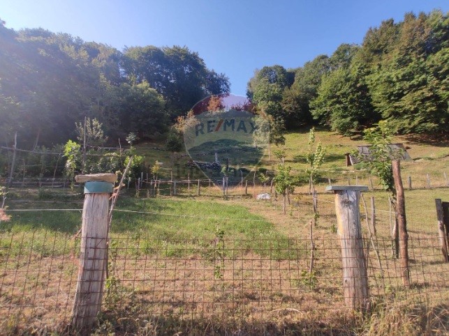 Fattoria in vendita